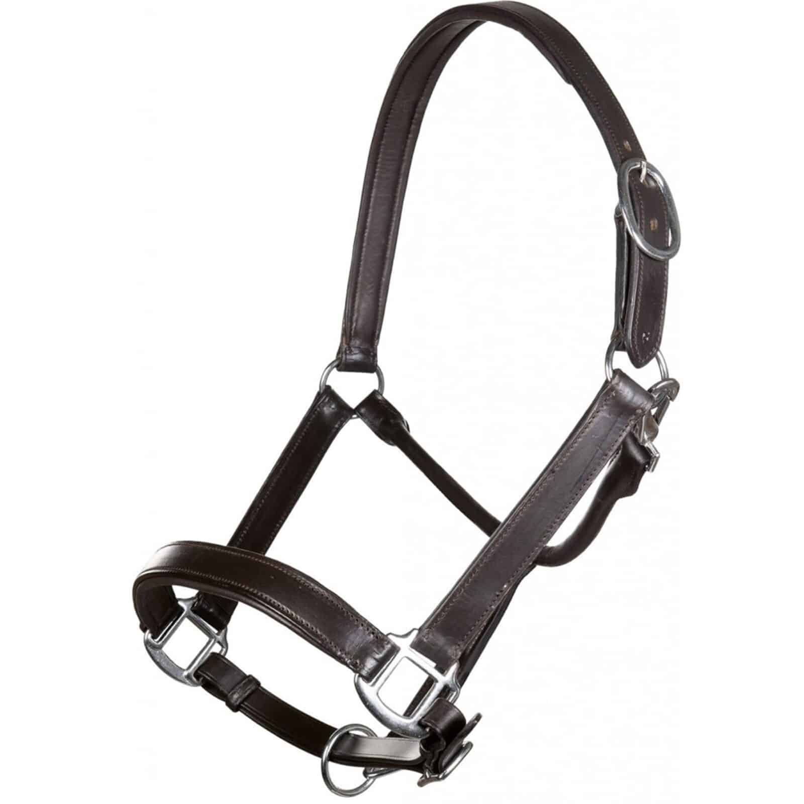 Lederhalfter Economic braun hkm